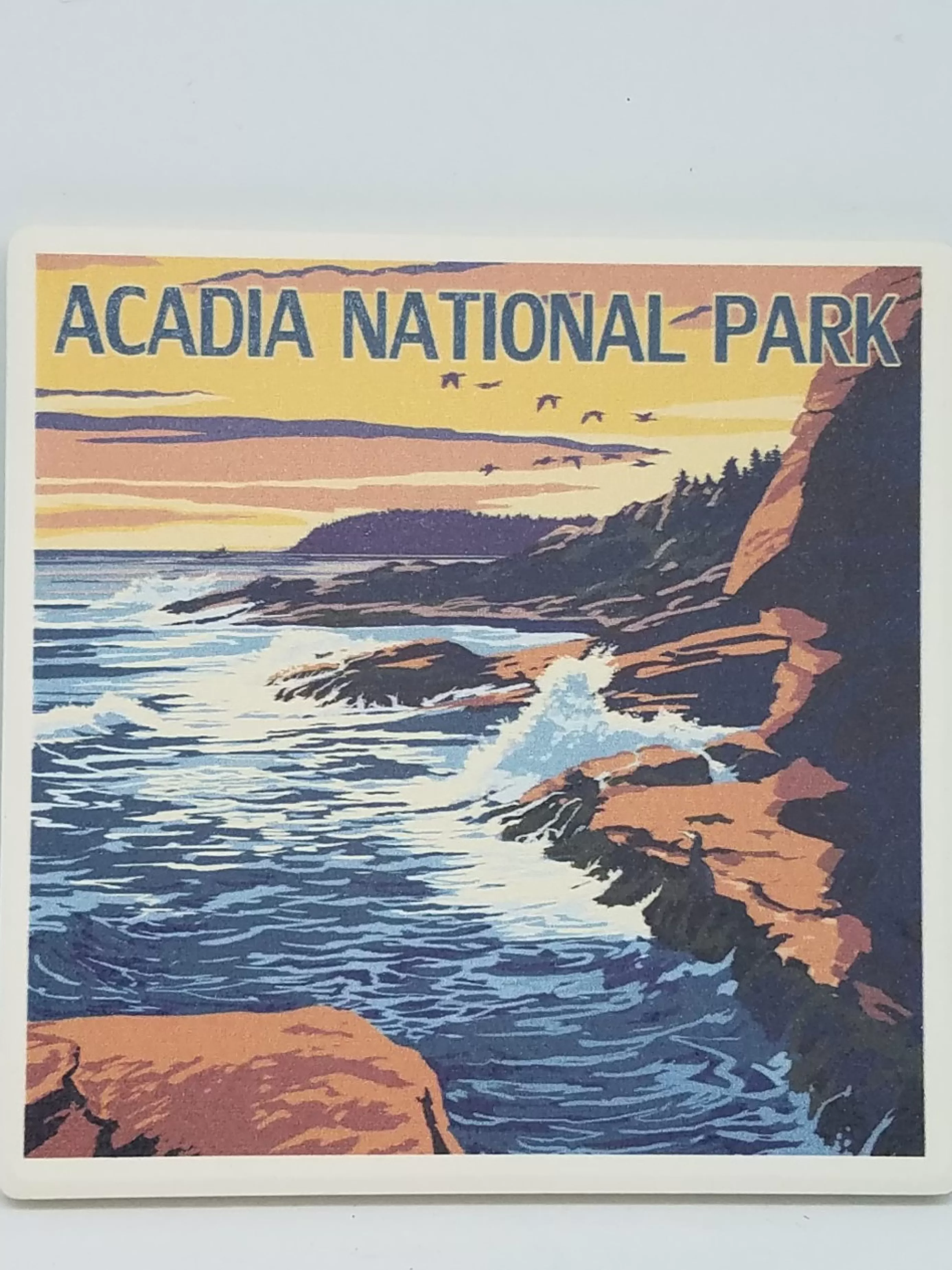 Christmas Vacation Coasters<Acadia National Park Coastal Coaster