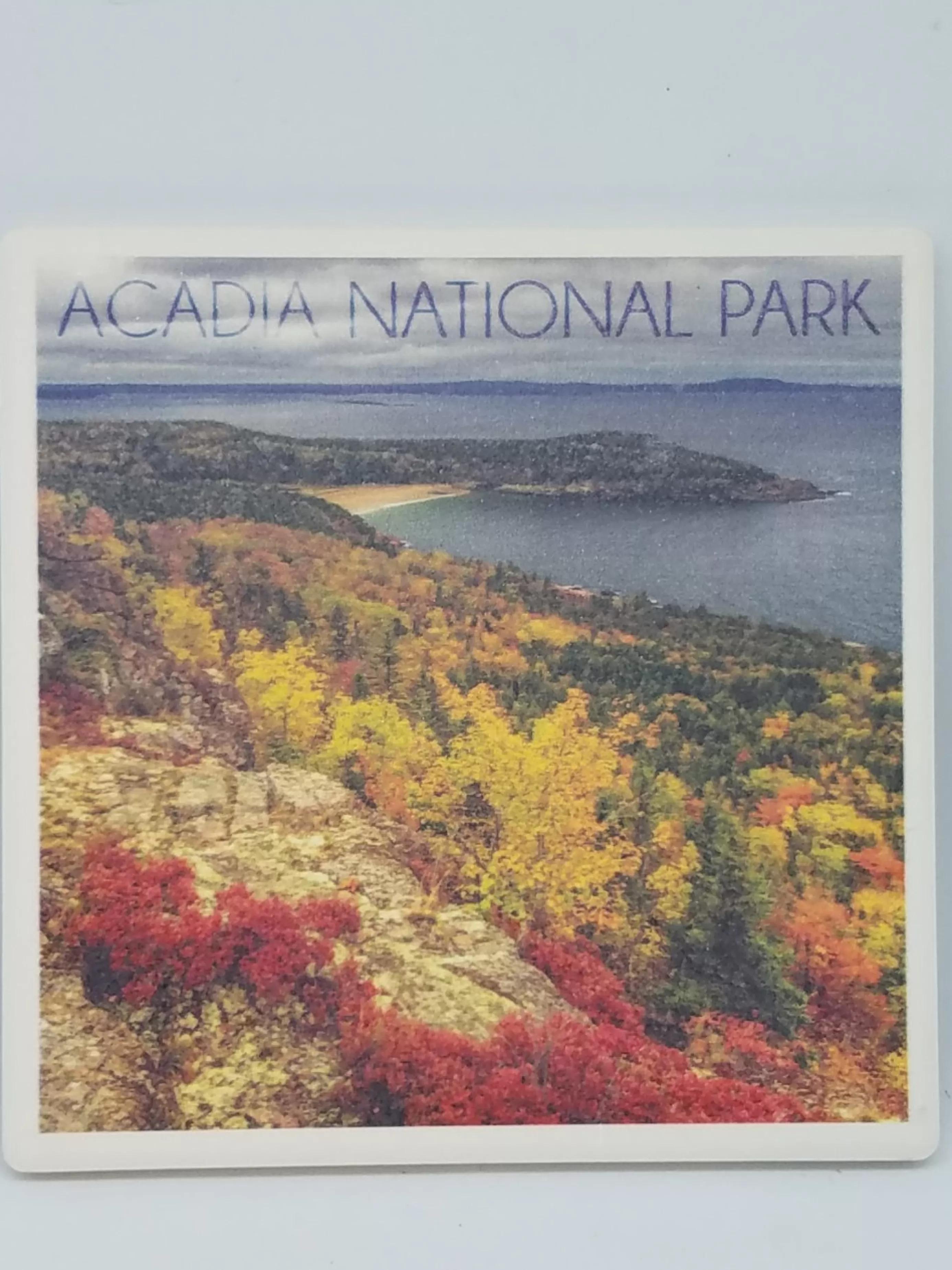 Christmas Vacation Coasters<Acadia National Park Fall Foliage Coaster