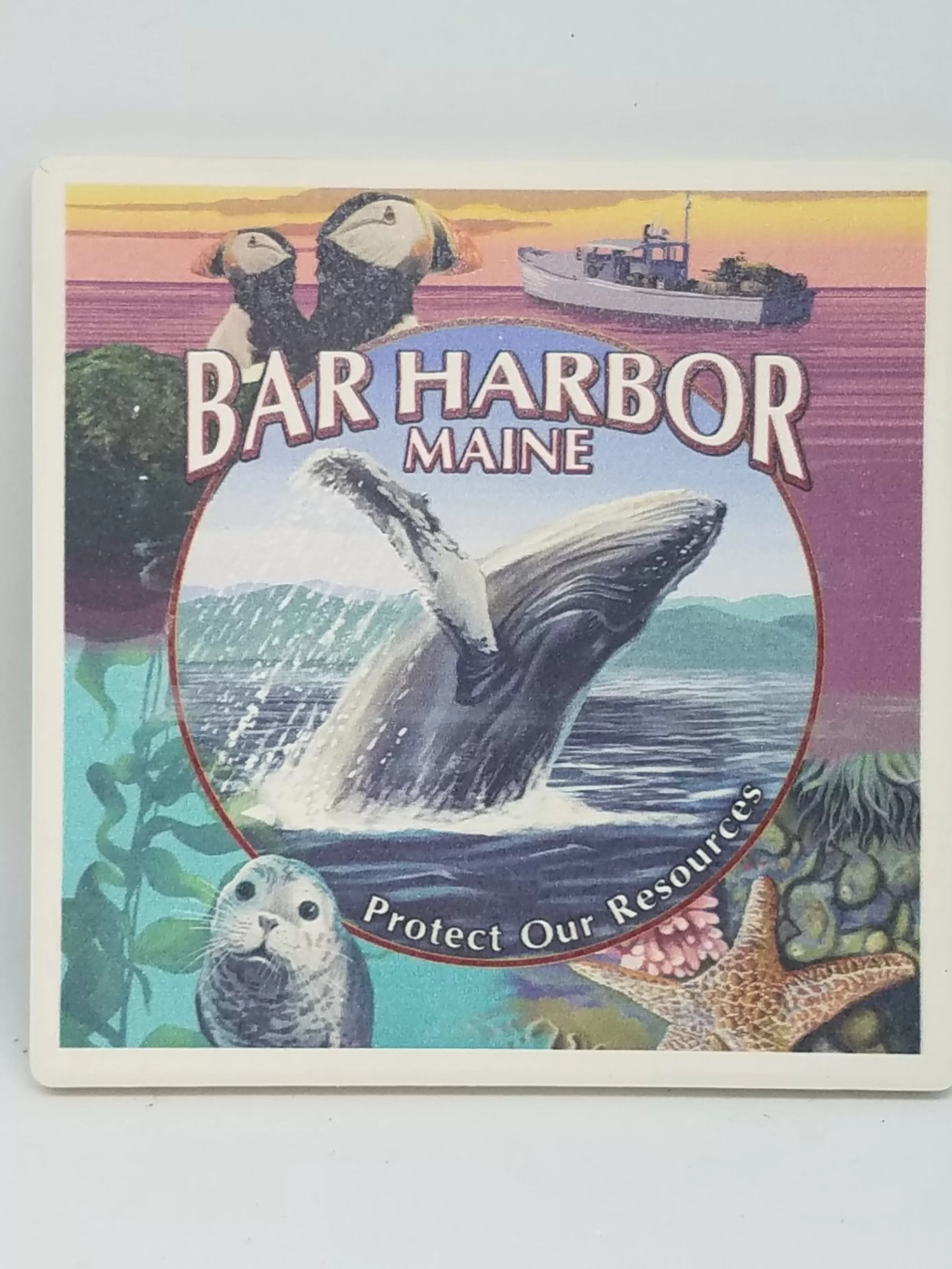 Christmas Vacation Coasters<Bar Harbor Maine Collage Coaster